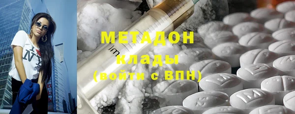 прущие грибы Аркадак
