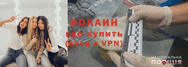 прущие грибы Аркадак