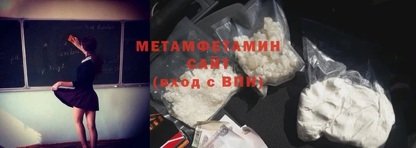 прущие грибы Аркадак