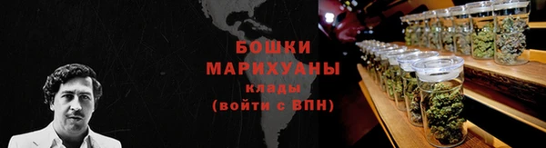 прущие грибы Аркадак
