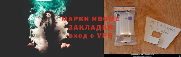 прущие грибы Аркадак