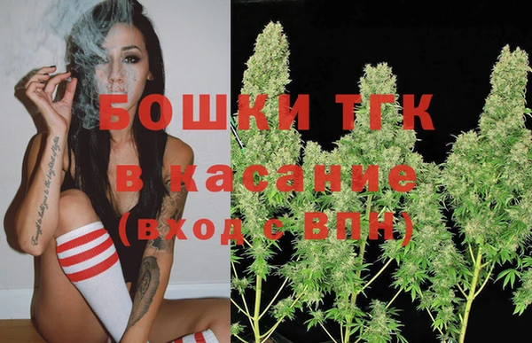 прущие грибы Аркадак