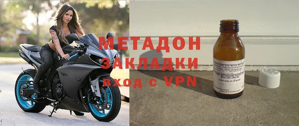 прущие грибы Аркадак