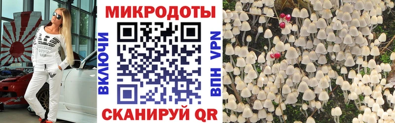 дарнет шоп  Ртищево  Галлюциногенные грибы мухоморы 